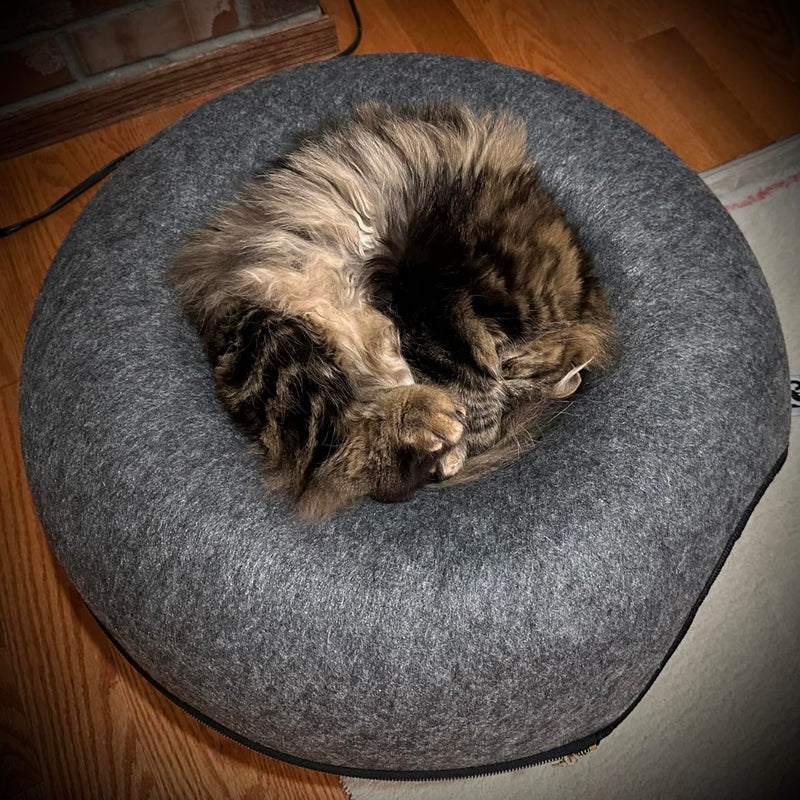 Indoor Cats Detachable Round Felt Cat Bed + Magic Organ Cat Scratch Board