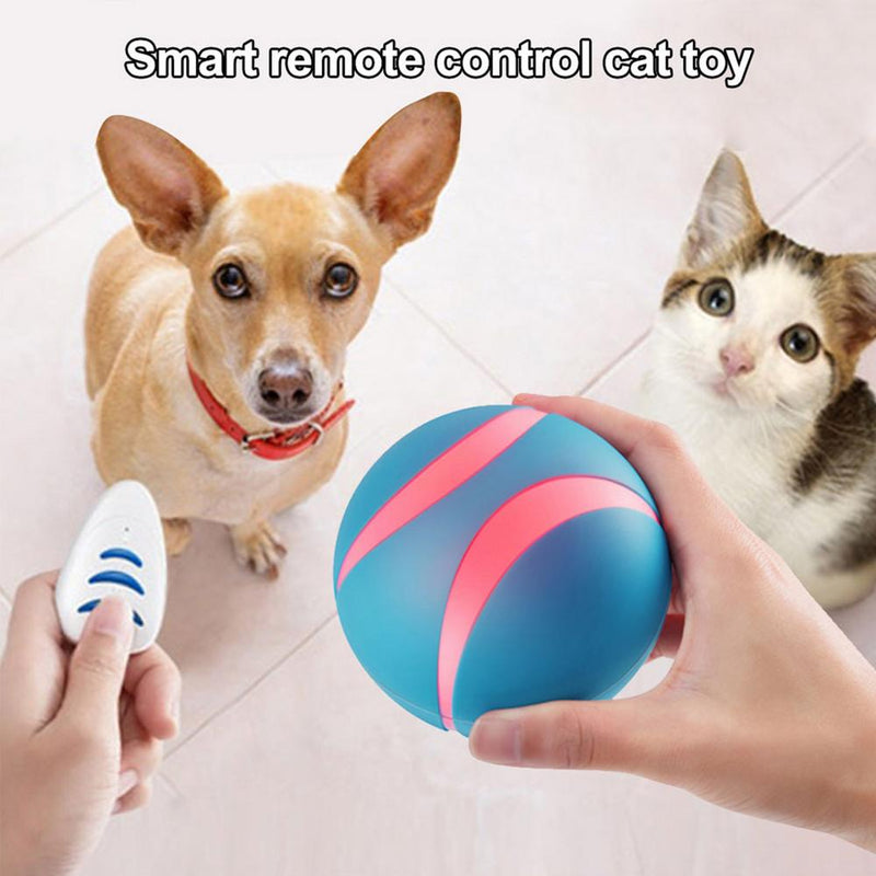 Automatic Interactive Pet Ball