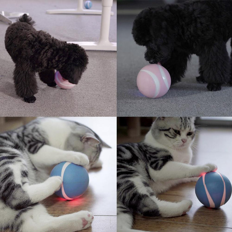 Automatic Interactive Pet Ball