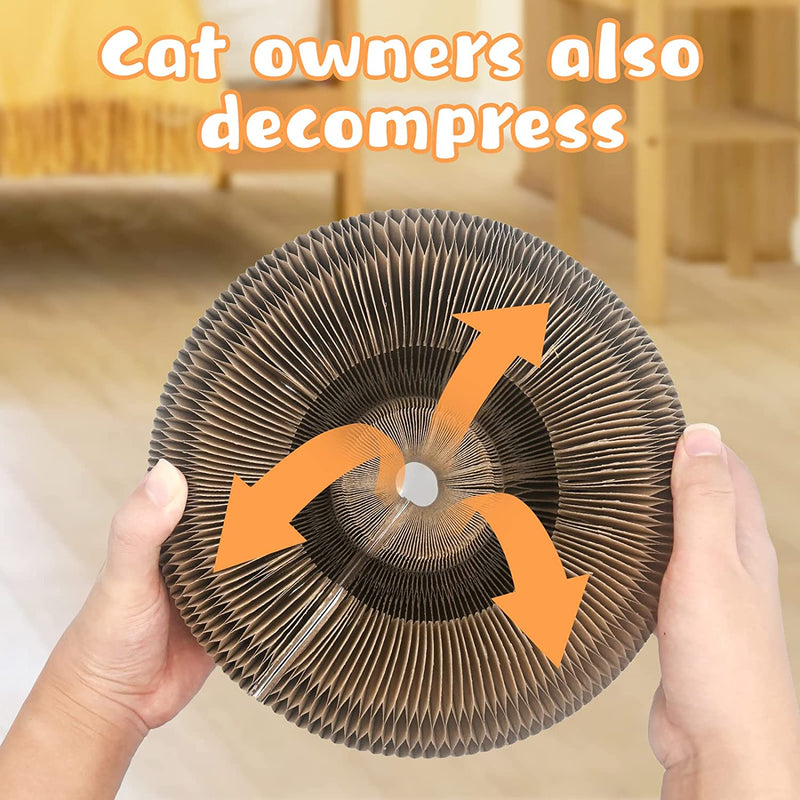 Indoor Cats Detachable Round Felt Cat Bed + Magic Organ Cat Scratch Board